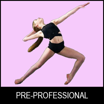 Pre-Professional Program